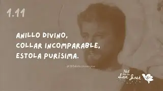 1.11 Anillo divino, collar incomparable, estola pur&iacute;sima | 365 d&iacute;as con san Jos&eacute; 🤎🙏🏻