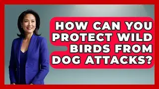 How Can You Protect Wild Birds From Dog Attacks? - Bird Watching Diaries