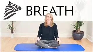 Movement With Jeannie Di Bon - Week 1 |  Breath