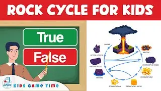 Rock Cycle for Kids | True or False Game | Science Lesson for Students