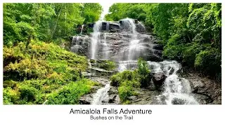 Amicalola Falls Georgia | State Park | Georgia's Largest Waterfall.