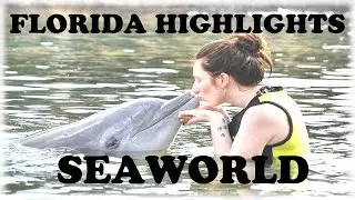 Florida Disney World Vlog! - Part 3 - Seaworld 2015