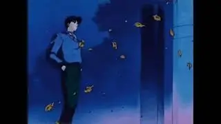 The Weeknd - King of the Fall (Slowed + Reverb)