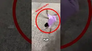 You Won&rsquo;t Believe How This Monkey Flips! 🐒😲🍌 #MonkeyFlips #FlipLikeAPro #shortsvideo