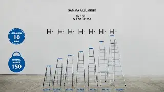 Scale doppie ad uso professionale