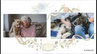 Coping with the Loss of a PET