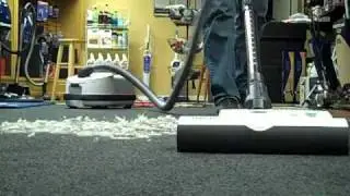 SEBO D4 Vacuums Albany NY Capital Vacuums