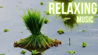 Relaxing music 2026 /Best Piano sound for relaxing