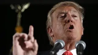 ‘We’re talking to NATO’: Trump says discussions on Greenland underway