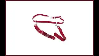 Flag-a-Tag Sonic Boom Flag Belt Review