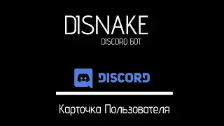 Disnake Discord Bot | Карточка пользователя