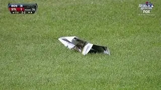 Paper airplane lands near the mound