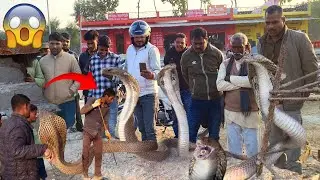 ❗🤭 कोबरा को बचाने के लिए घर के पूरे दीवाल को पड़ गया तोड़ना,Amazing Cobra Rescue ‼️