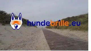 Am Hundestrand von Juist