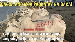 Huling Araw ng Bentahan ng Pangkatay na Baka! Dagsa ngayon!