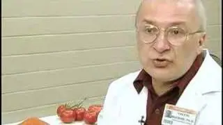 Processed Tomatoes Reduce Animal Prostate Cancer