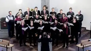 vox nova - 