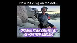 20kg PB catfish at Slypsteen Safaris in the Orange river