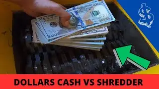 US Dollar Cash vs Machine Shredder