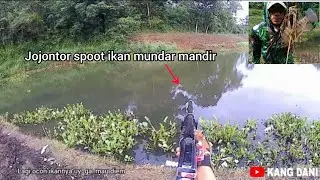 paser mania/memaser ikan di spoot bekas pesawahan