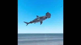 Lobby and Fishing music in Real VR Fishing
