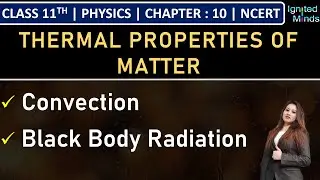 Class 11th Physics | Convection | Black Body Radiation | Chapter 10 | NCERT