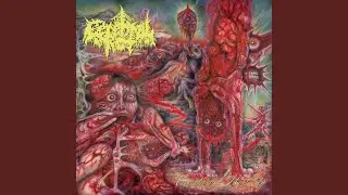 Bowels of Decrepitude