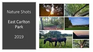 Nature Shots | East Carlton Park with music from Inspiration Den