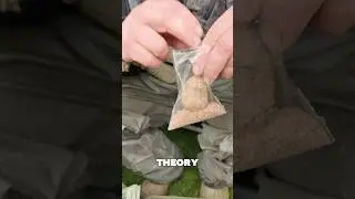 Попробуйте метод фидерной ловли с использованием цельного мешка 🎣, если оставляете оснастку на дл...