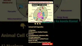 Animal Cell Important #youtubeshorts #biology  #youtubeshorts #science #2021exams
