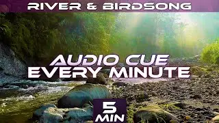 Meditation Timer With Calm River and Birdsong | Audio Cues | Vipassana | 5 Minute
