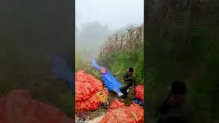 Transport in the highlands || Innovative farmers