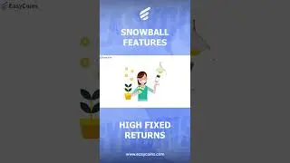 What are the features of Snowball by EasyCoins