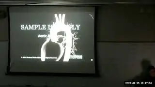 230925 Class 16, Cardiac and Neurological Emergencies
