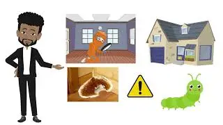 What is a pest inspection?