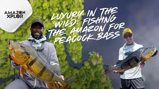 Luxury in the Wild: Fishing the Amazon for Peacock&nbsp;Bass #junglefishing