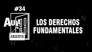 Los Derechos Fundamentales - AA # 34