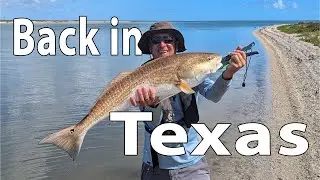 Back in Texas