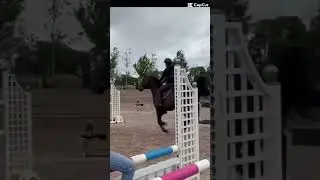 #jumps#flyinginstyle#ridinglife