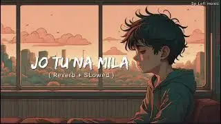 Jo Tu Na Mila ( Reverb + Slowed ) Sp Lofi music 