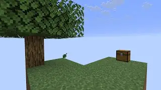Minecraft SkyBlock, New Beginning EP1