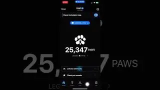 PAWS Crypto Airdrop New Task - Claim now! ⚠️ #paws #crypto #airdrop #telegrambot #shorts