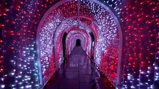 LCI Bude Tunnel Christmas Illumination