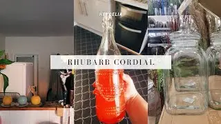 Rhubarb Cordial.