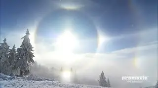 Halos