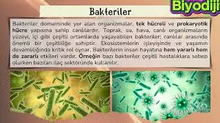 9.1.6 SINIFLANDIRMADA ÜÇ ÜSTÂLEM (DOMAİN) SİSTEMİ