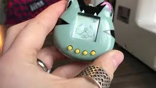Jaleco Cat Virtual Pet