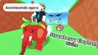 Jogando a super nova atualiza&ccedil;&atilde;o do fuja do tsunami do roube um meme!
