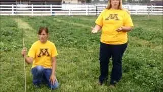 When To Initiate Horse Grazing