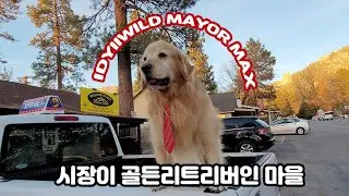 가을이 그리울때 🍁 Idyllwild 3박4일 에어비앤비 여행🚙 미국일상